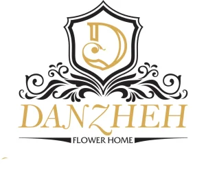 Logo Danzheh-2